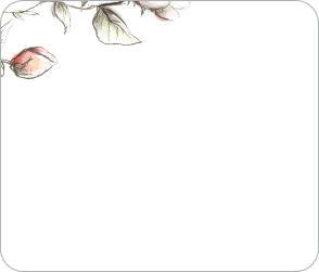 Illustration representing fiction book creation process